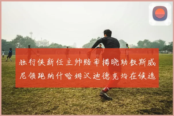 独行侠新任主帅赔率揭晓助教斯威尼领跑纳什哈姆汉迪德克均在候选之中